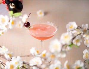 Sakura at Sake No Hana