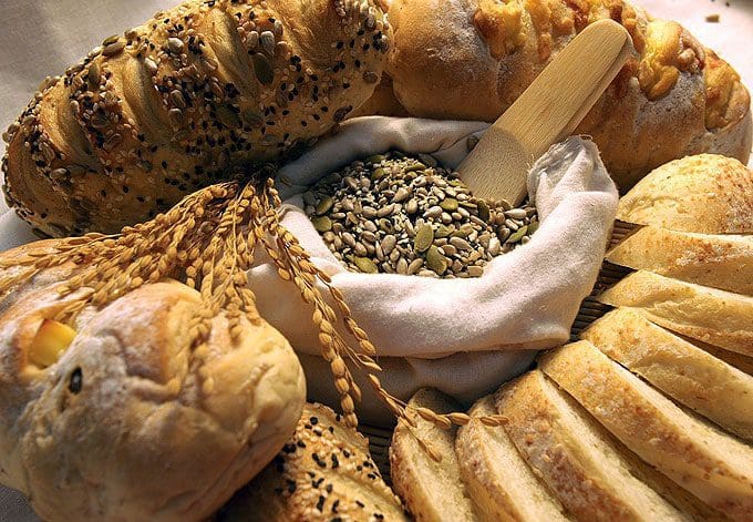 Athlete-Food-Web-1