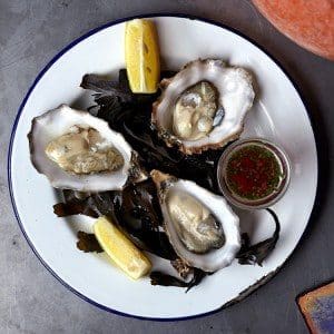 mussel