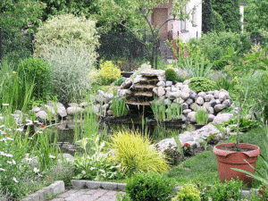 redesigning your garden