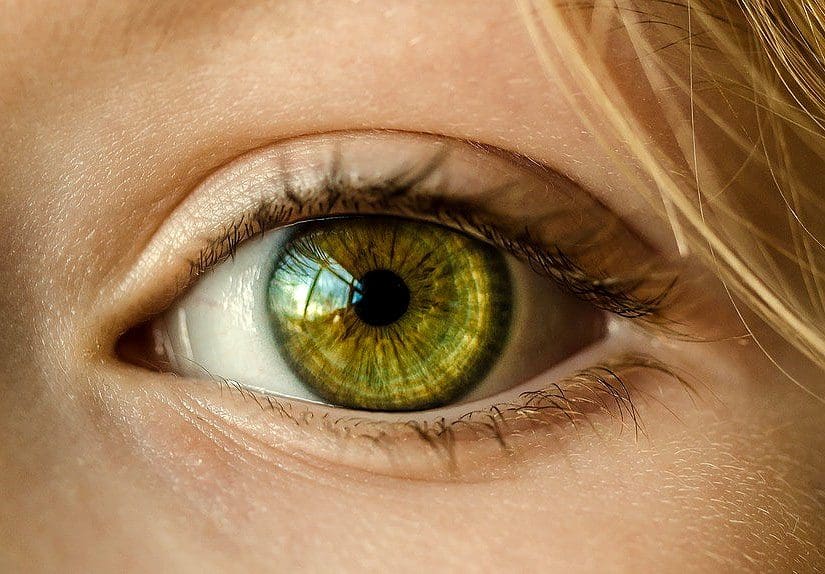 Take Care of Your Eyesight