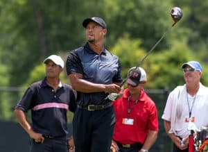 tiger cool