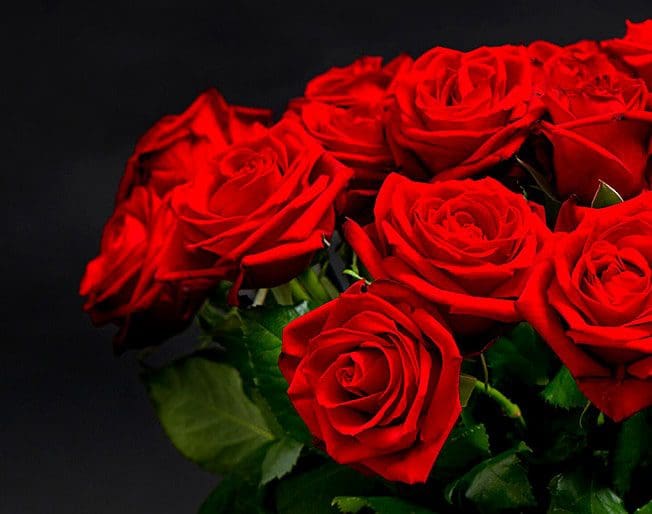 right flowers