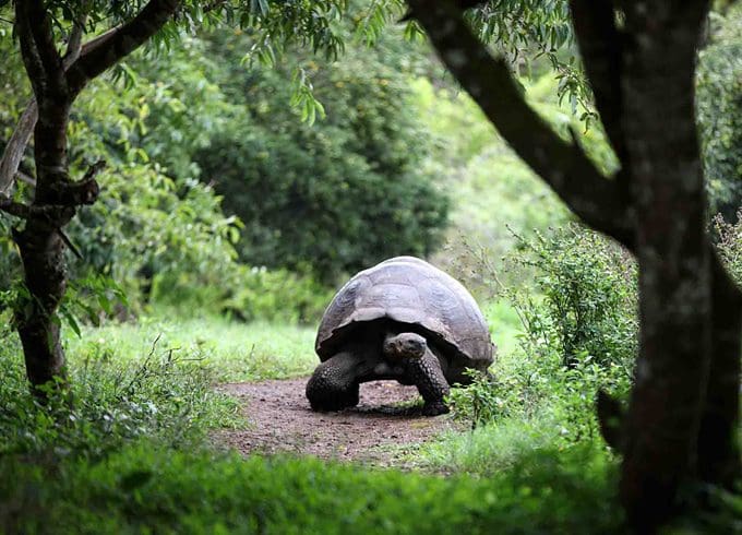 Galapagos trip