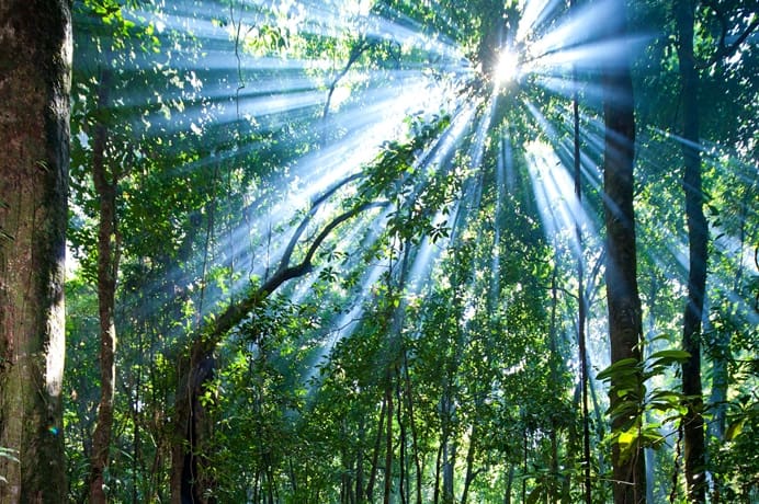 ecotourism COVID