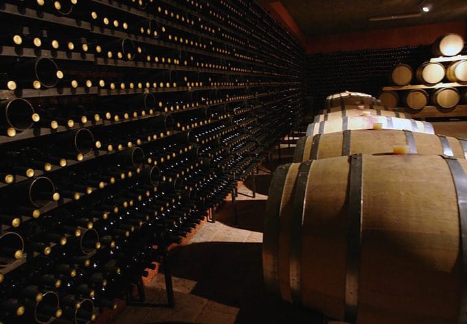 Masseto Winery