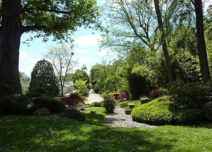 Your Garden cool