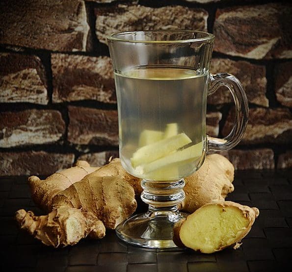 ginger fact