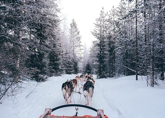 Winter Sports