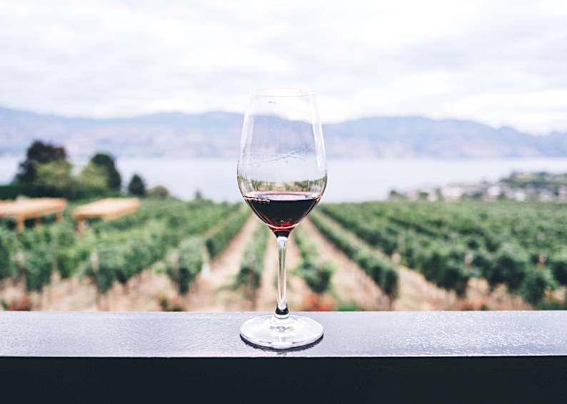 Discovering Hidden Gems: 6 Lesser-Known Wine Varieties and Regions
