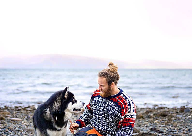 Choosing  Breed dog