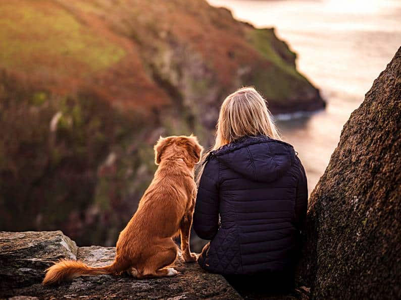 The 3 Dog Illnesses That Require A Specific Dog Food