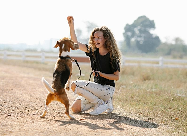 From Rascal to Role Model: 6 Expert Tips for Training Your Dog Like a Pro