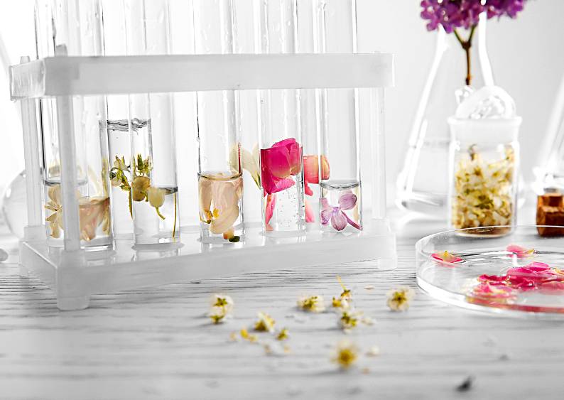 Modern Alchemy: The Science and Art of Creating Iconic Scents