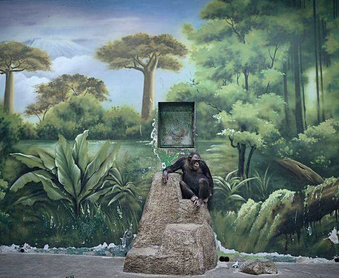 The Anthropocene Illusion by Zed Nelson